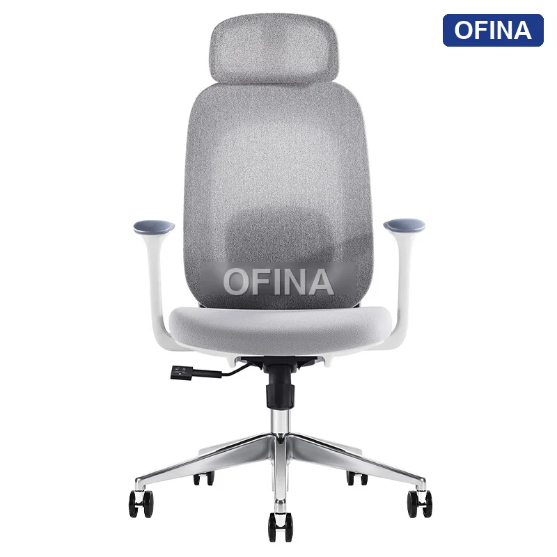 Ghế công thái học Ergonomic Cozy C03A-GR