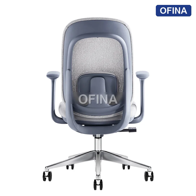 Ghế xoay văn phòng Ergonomic Cozy C03B-GR