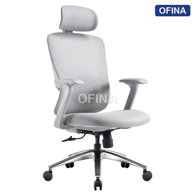Ghế công thái học Ergonomic Cozy C04A-GR