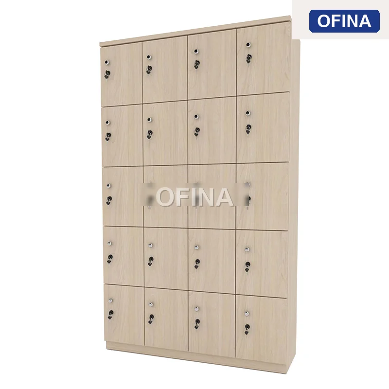 Tủ locker gỗ 20 cánh LKG20-DV thumbnail 3