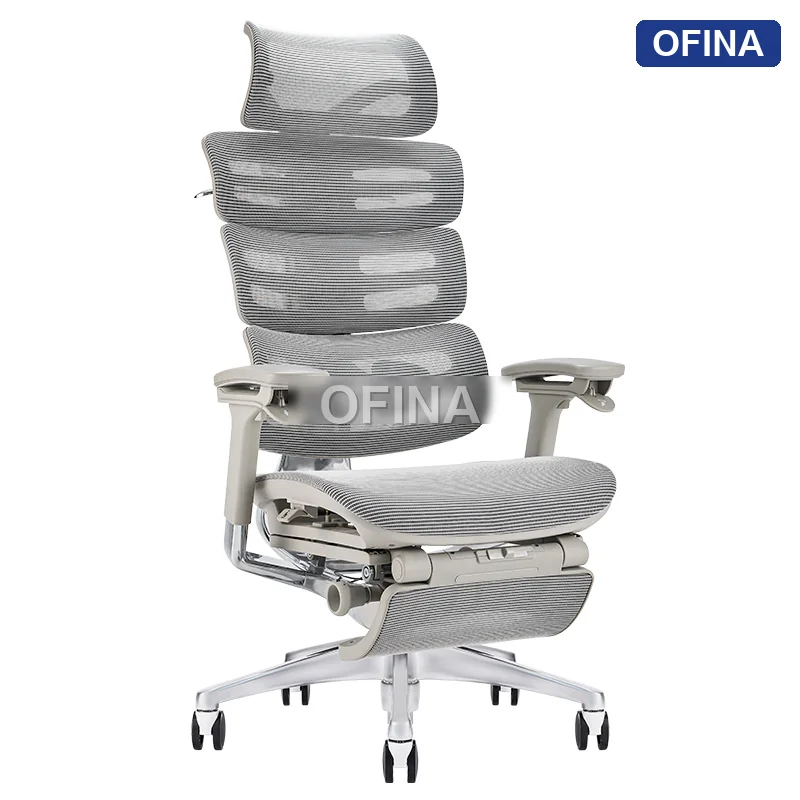 Ghế công thái học Ergonomic Next Z Grey