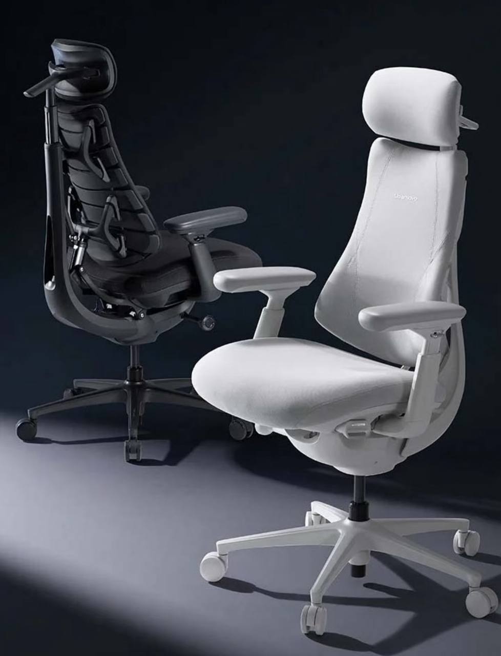 Ghế công thái học LiberNovo Omni chính hãng – Dynamic Balance – Bản nệm 48cm - ảnh 1
