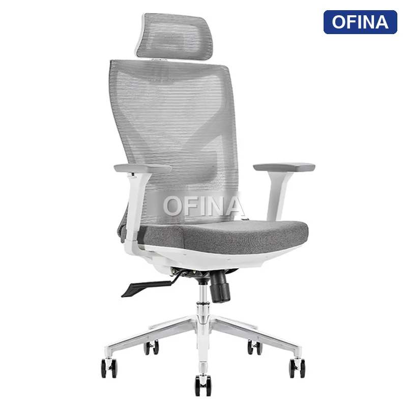 Ghế công thái học Ergonomic Ryan R02A Plus Grey