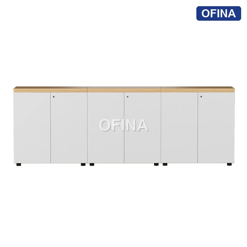 Hệ tủ tài liệu gỗ TG01-2408A