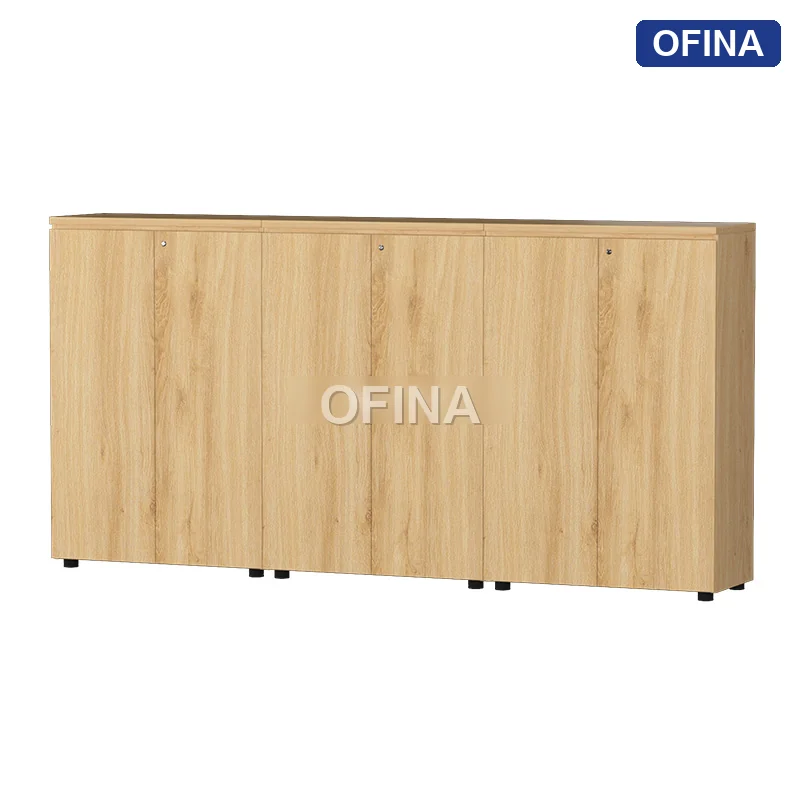 Hệ tủ tài liệu gỗ TG01-2412 thumbnail 2