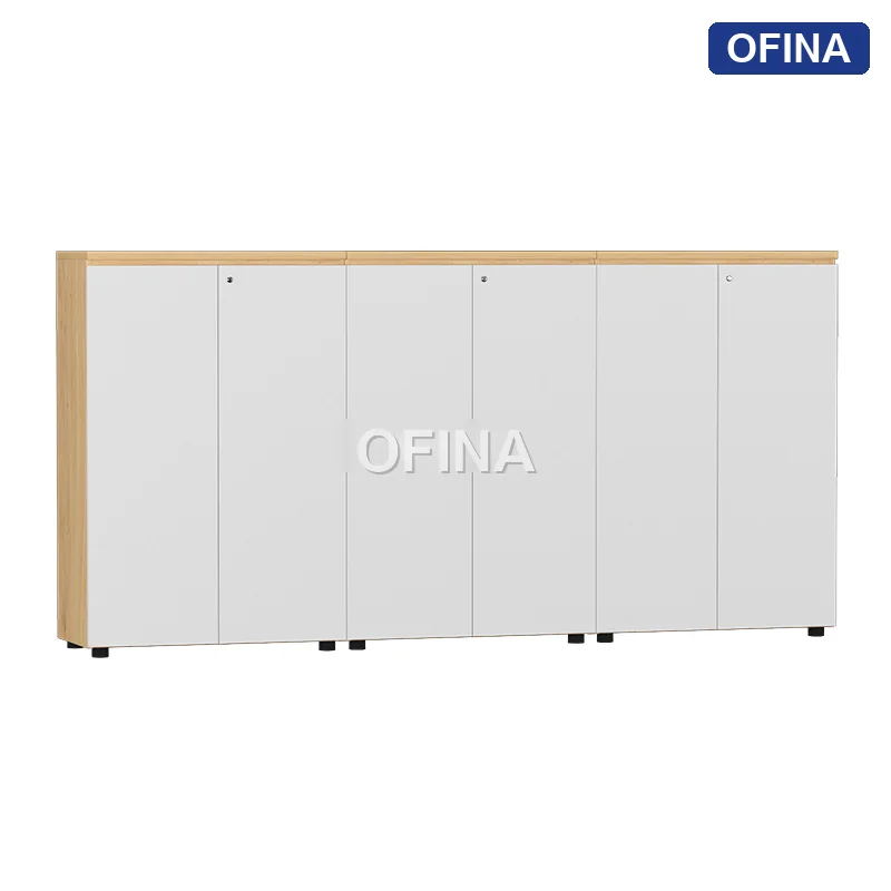 Hệ tủ tài liệu gỗ TG01-2412A