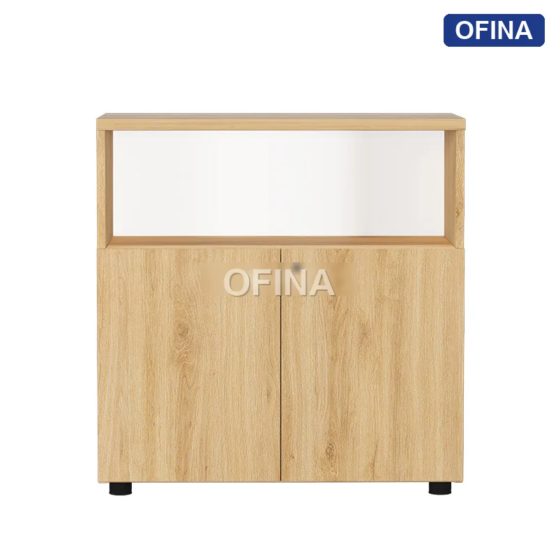 Tủ tài liệu gỗ TG02-0808 thumbnail 2