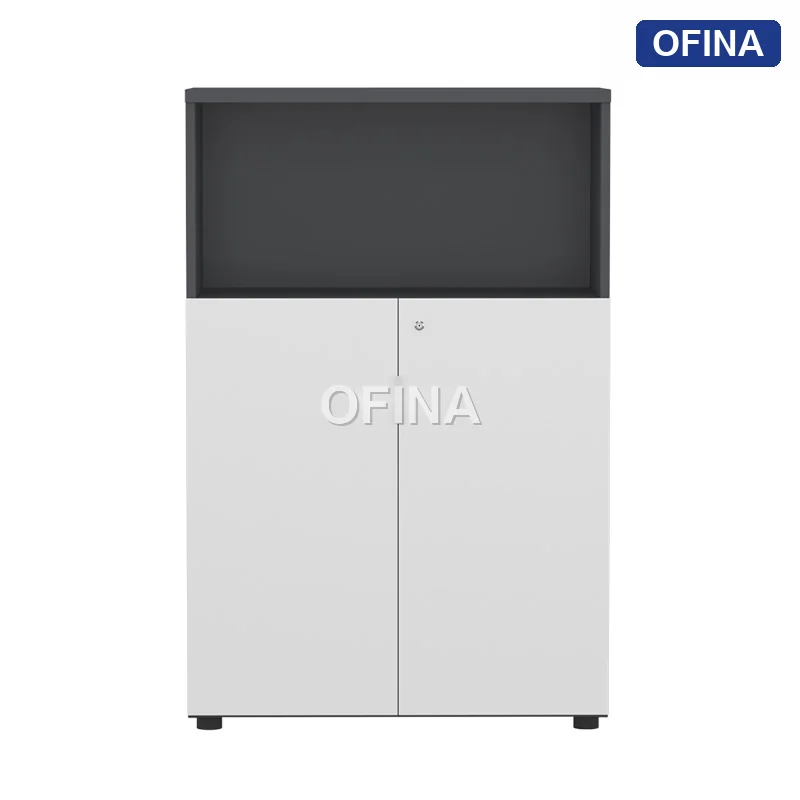 Tủ tài liệu gỗ TG02-0812B thumbnail 2