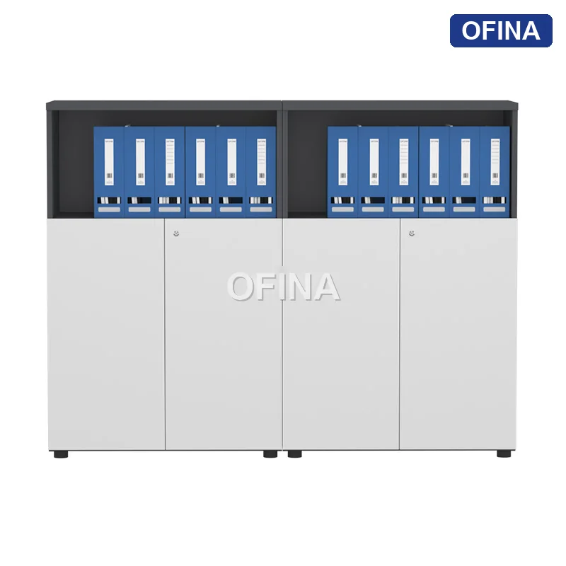 Hệ tủ tài liệu gỗ TG02-1612B