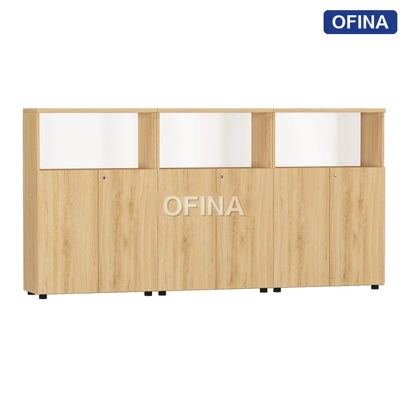 Hệ tủ tài liệu gỗ TG02-2412