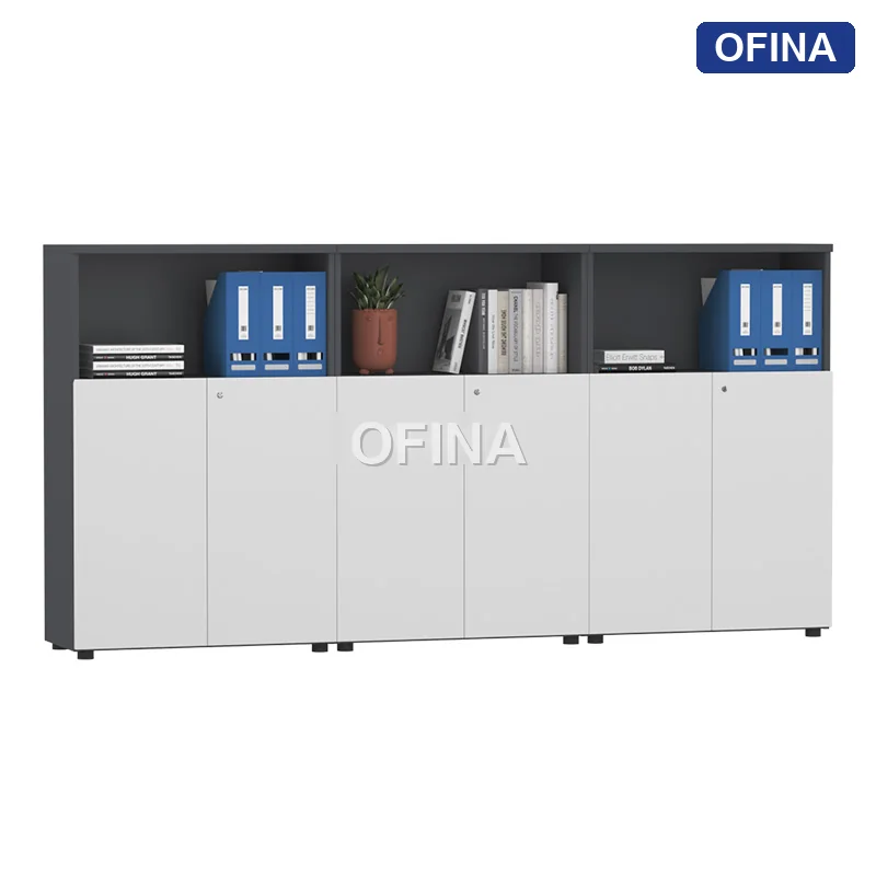 Hệ tủ tài liệu gỗ TG02-2412B