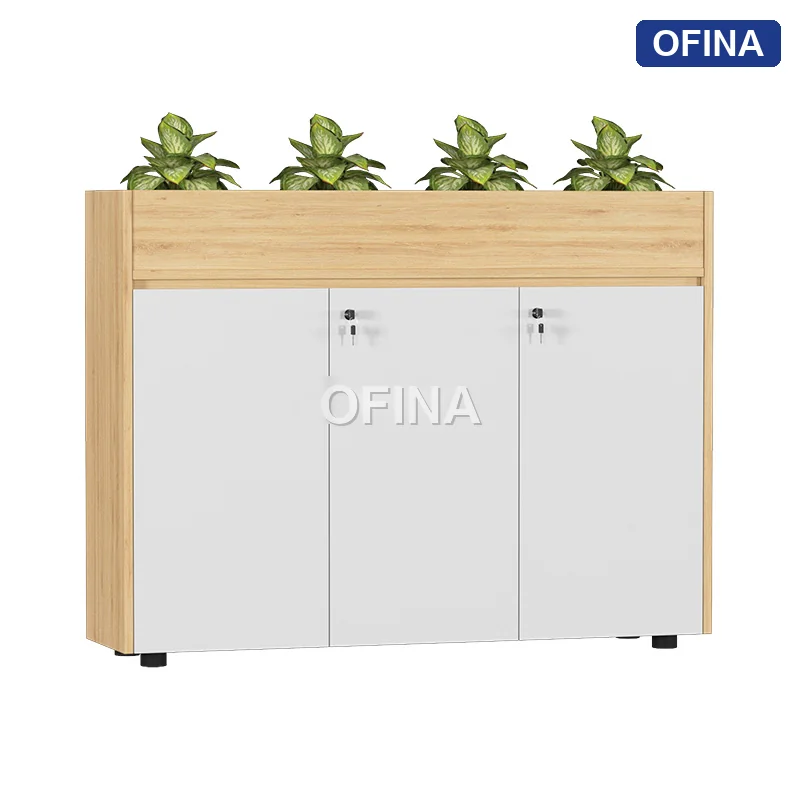 Tủ gỗ đa năng TG04-1209A