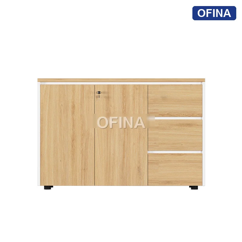 Tủ tài liệu gỗ TG11-1208 thumbnail 2