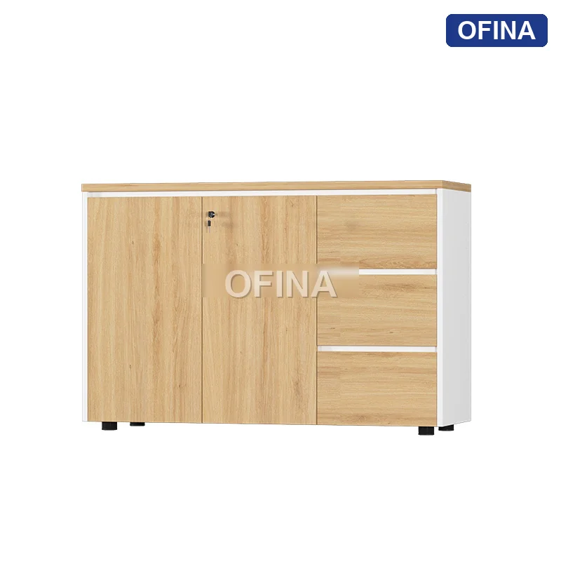 Tủ tài liệu gỗ TG11-1208 thumbnail 3