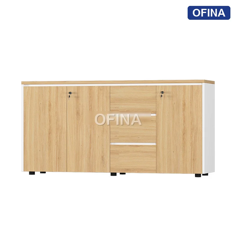 Tủ tài liệu gỗ TG11-1608 thumbnail 2