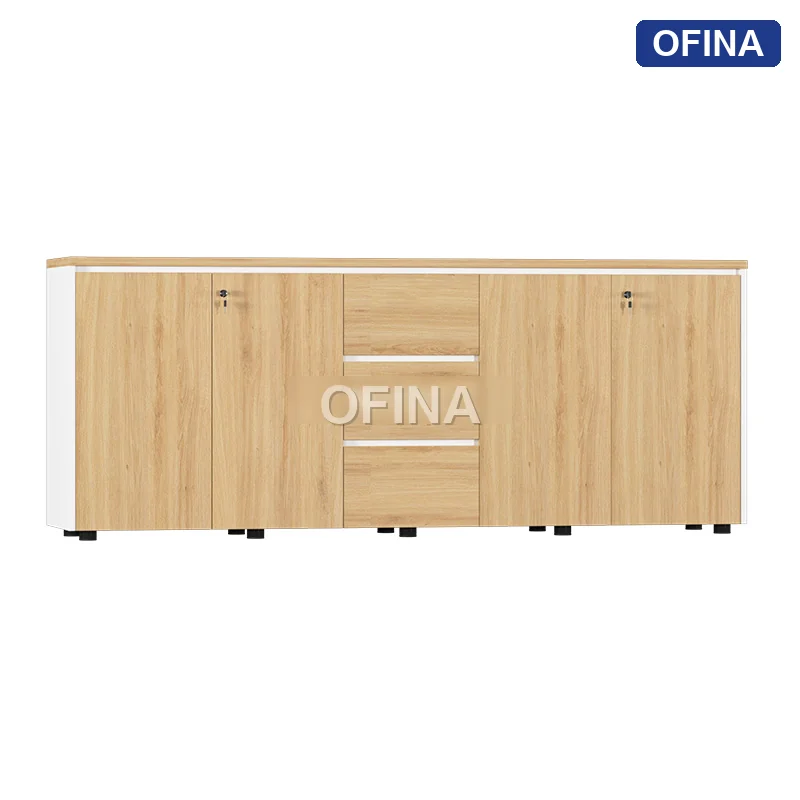 Tủ tài liệu gỗ TG11-2008