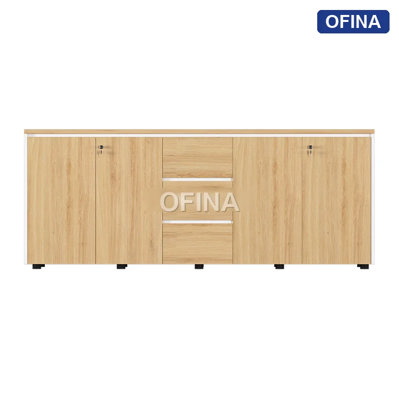 Tủ tài liệu gỗ TG11-2008 thumbnail 2