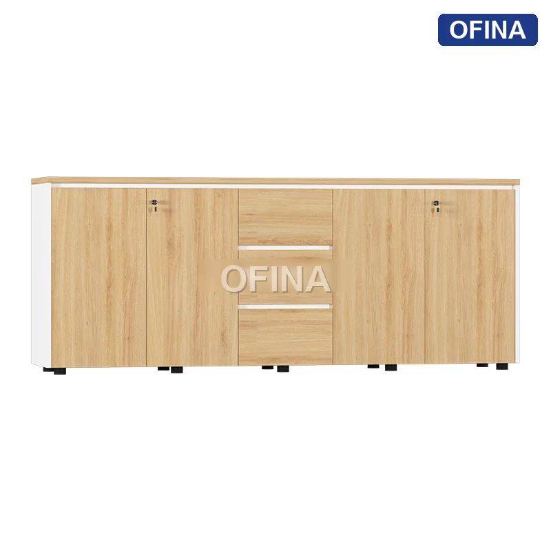 Tủ tài liệu gỗ TG11-2008 thumbnail 3