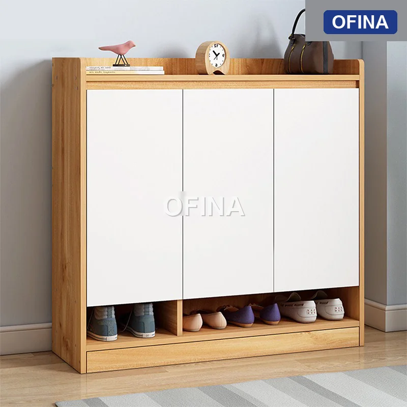 Tủ để giày TGI02-1011