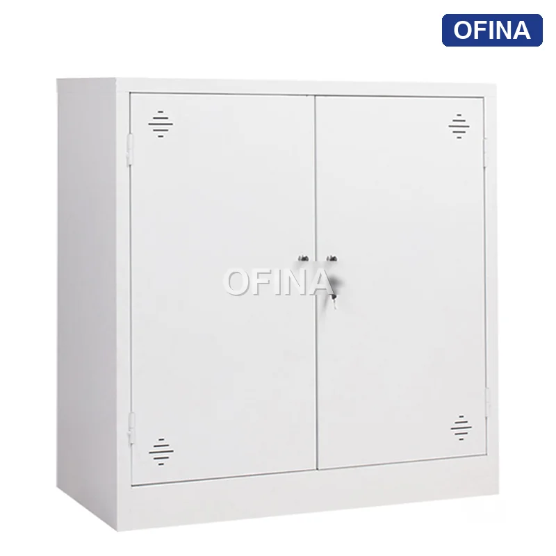 Tủ tài liệu sắt thấp 2 cánh sắt TL08-T thumbnail 2