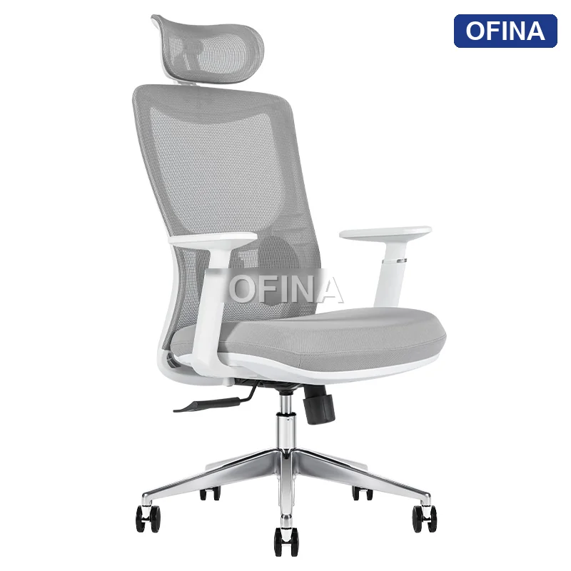 Ghế văn phòng Ergonomic Office Chair Win W01A-GR