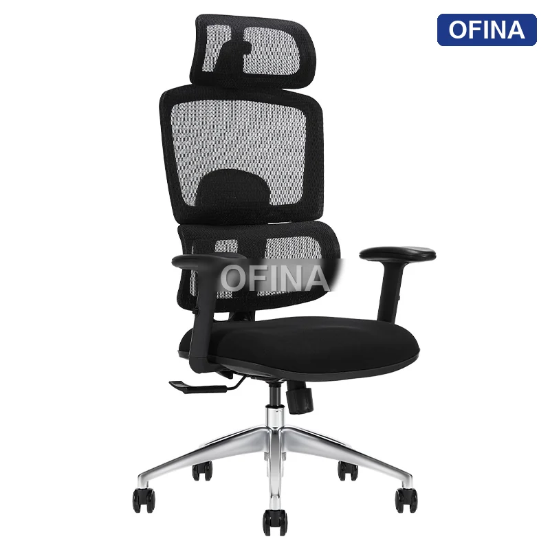 Ghế công thái học Ergonomic Win W05A-BL